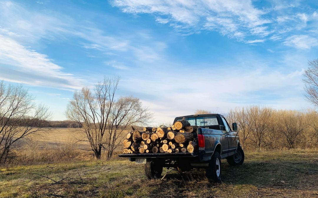 pickup truck hauling firewood in an open field