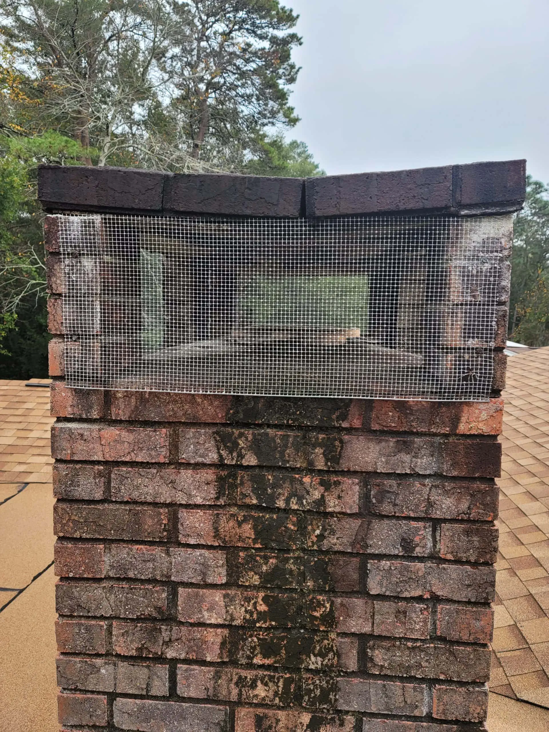 Background Image New Orleans Page